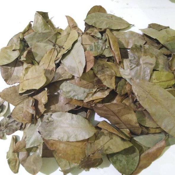 Nusantara Delicate Sirsak Leaves -  Annona muricata Dried ,  80  gram