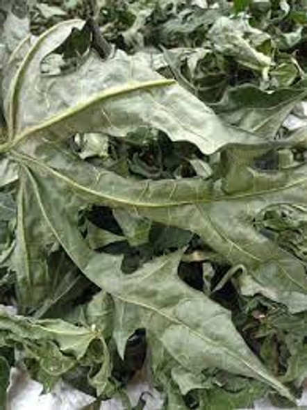 Nusantara Delicate Pepaya Leaves - Carica papaya Dried, 80  gram