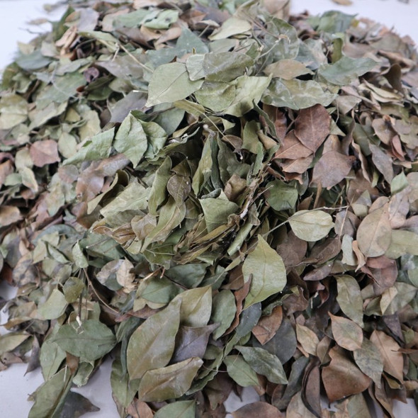 Nusantara Delicate Kemuning Leaves - Murraya paniculata Dried, 80  gram