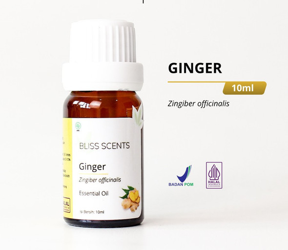 Bliss Scents Essential Oil Ginger, 10 ml