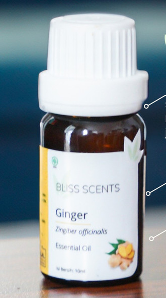 Bliss Scents Essential Oil Ginger, 10 ml
