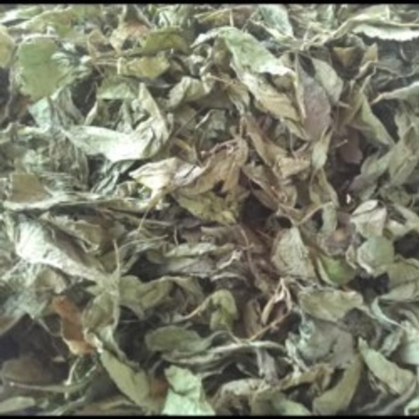 Nusantara Delicate Bungur Leaves - lagerstroemis speciosa Dried,  80  gram