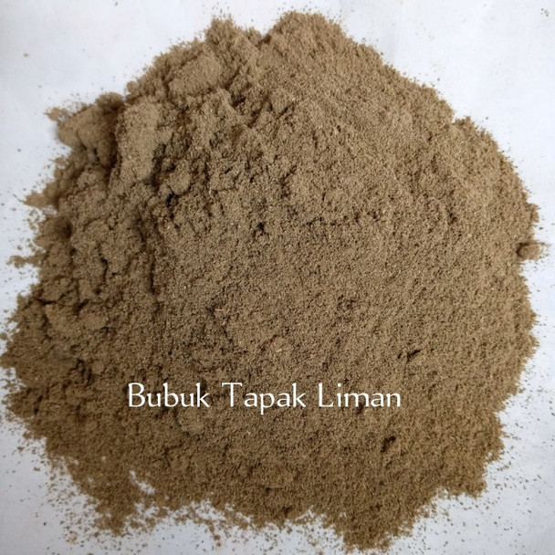 Nusantara Delicate Tapak Liman Leaves - Elephantopus scaber Powder, 80  gram