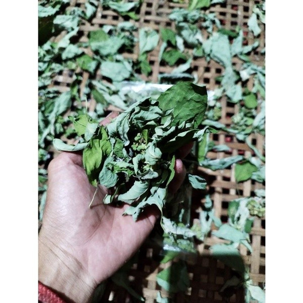 Nusantara Delicate Daun Patikan Mas - Euphorbia Heterophylla Leaf Dried, 80gr