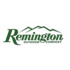 Remington Express Spike Flat Pellets 250 .22 (5.5mm) Target