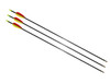 NXG Fibreglass Arrows 28" Pack of 3