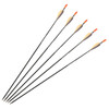 Petron Compound Bow Carbon Arrows 30" Pack of 5