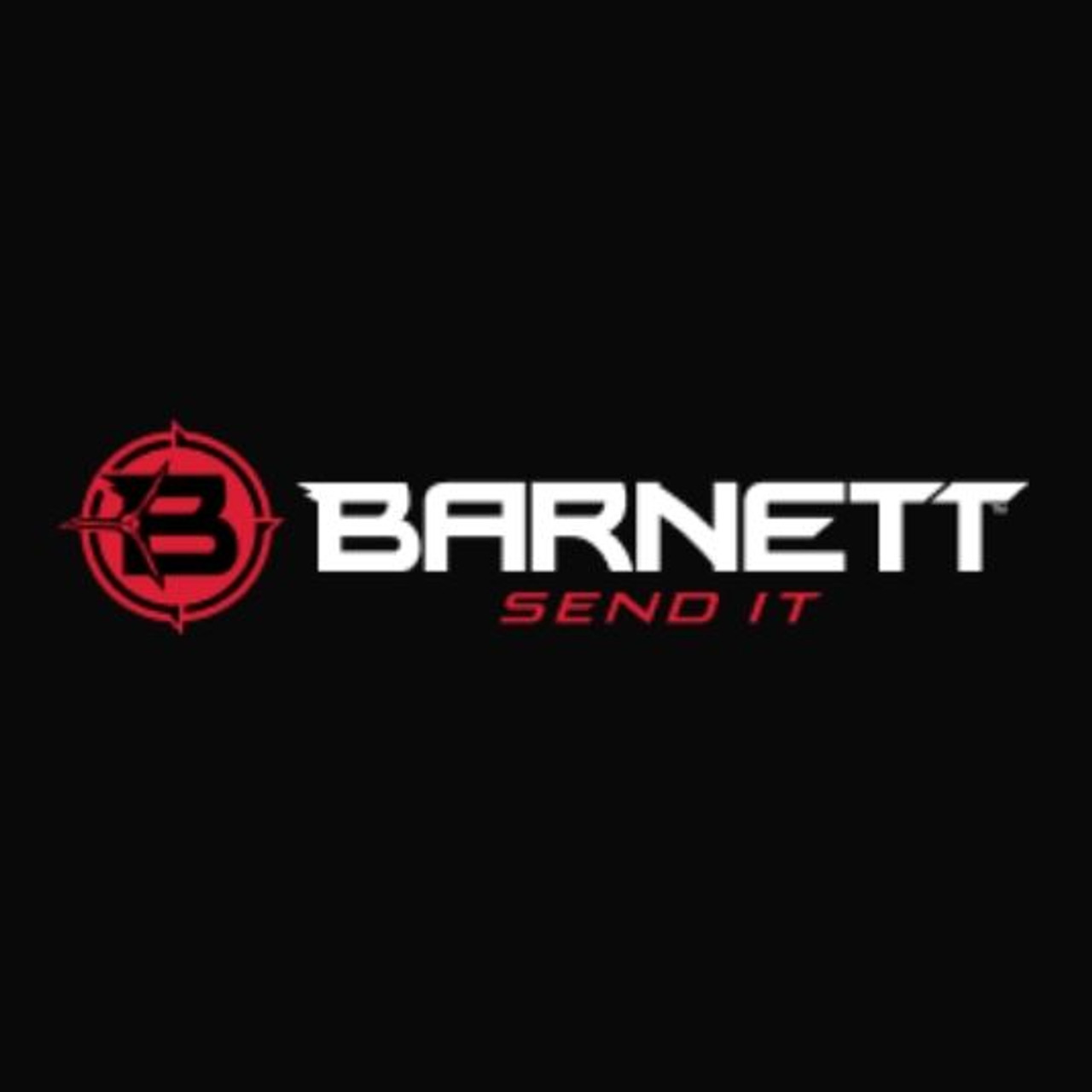 Barnett Slingshot Ammo Plastic Balls Pack of 100 Catapult