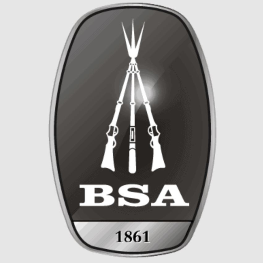 BSA Goldstar Airgun Pellets .22 14.66gr Tin of 250