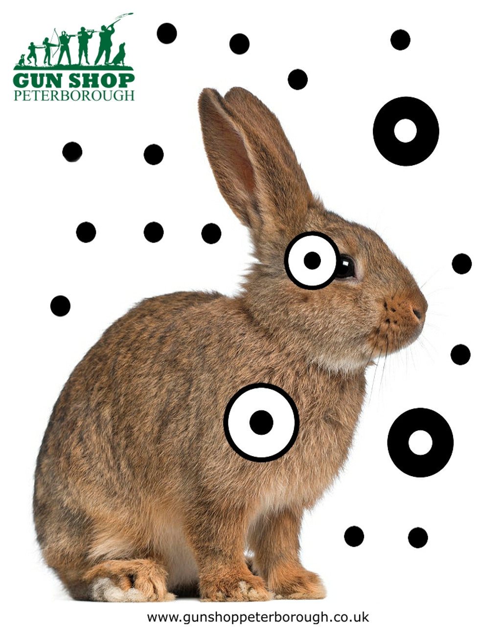 Rabbit Target A4
