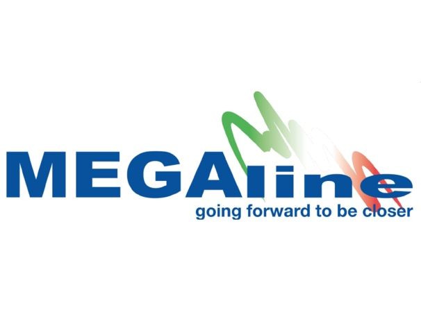 Megaline Customable Rifle Hard Case Internal 118cm