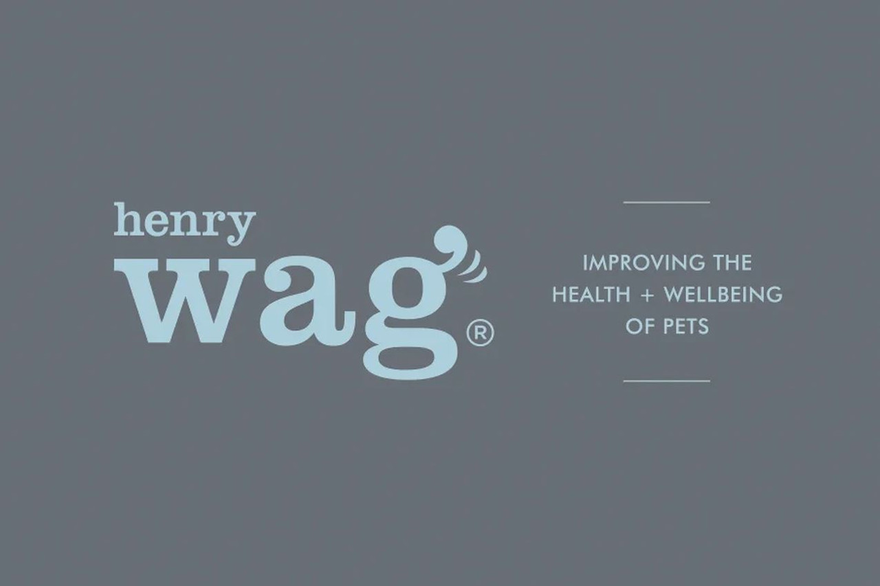 Henry Wag Microfibre Dog Drying Glove