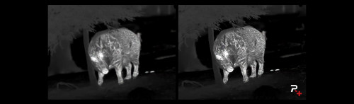 Nocpix ACE S60R Thermal Riflescope