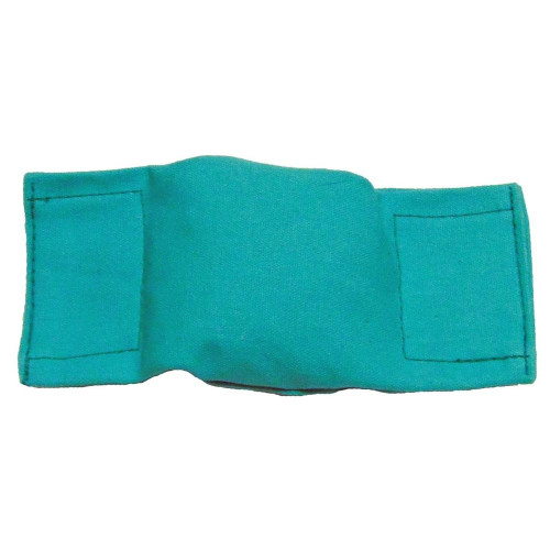 Bisley 1/2lb Puppy Training Beanbag Dummy Green.
