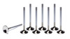 Ferrea GM LS 1.615 Exhaust Valves - FERF1597P-8