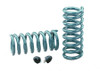 Hotchkis Coil Springs  - HOT1908F