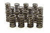 Isky 1.260in Valve Springs  - ISK295-D