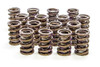 Isky 1.430in Valve Springs  - ISK6105