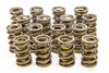 Isky 1.570 Valve Springs  - ISK9988-RAD