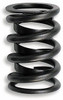 Lunati 1.500in Valve Springs  - LNT73815-16