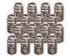 Lunati 1.290in Beehive Valve Springs - LNT74818-16