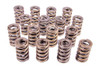 PAC 1.244 Dual Valve Springs (16) - PACPAC-1202