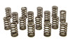 PAC 1.245 Single Valve Springs - RPM Series (16 - PACPAC-1210X