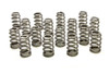 PAC 1.307 Valve Springs - Ovate Beehive (16) - PACPAC-1219X