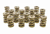 PAC 1.645 Triple Valve Springs - (16) - PACPAC-1347