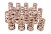 PAC 1.454 Valve Springs - Ovate Beehive (16) - PACPAC-1427