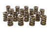 PAC Valve Springs - HR Series (16) - PACPAC-1924