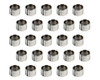 Pioneer SBF Dowel Pins (25)  - PIOPF-602-S-25