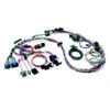 Painless Tpi Harness 90-92  - PWI60103