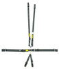 Schroth 6pt Harness System SFI LatchLink Black HANS - SRBSR71760H