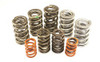 Isky 1.340 Dia Valve Springs (12pk) - ISK700512