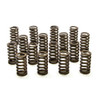 PAC 1.345 Valve Springs - Ovate Beehive (16) - PACPAC-1232X