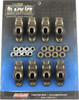 Elgin SBC Black Ice Rocker Arm Kit 1.6 Ratio (8pk) - ELGICE410738