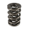 PAC 1.645 Triple Valve Spring 1pk - PACPAC-1258-1