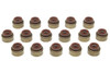 Mahle/Clevite Valve Stem Seals (16pk) 6.6L Duramax 01-09