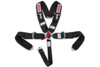 Simpson Safety 5 Pt Harness System CL P/D B/I 55in