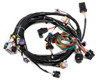 Holley Main Wiring Harness LS1 & LS6