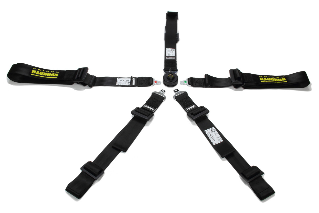 Schroth 5pt Harness Profi 2x2 Pull-Down Lap - SRBSR91152PDO-5