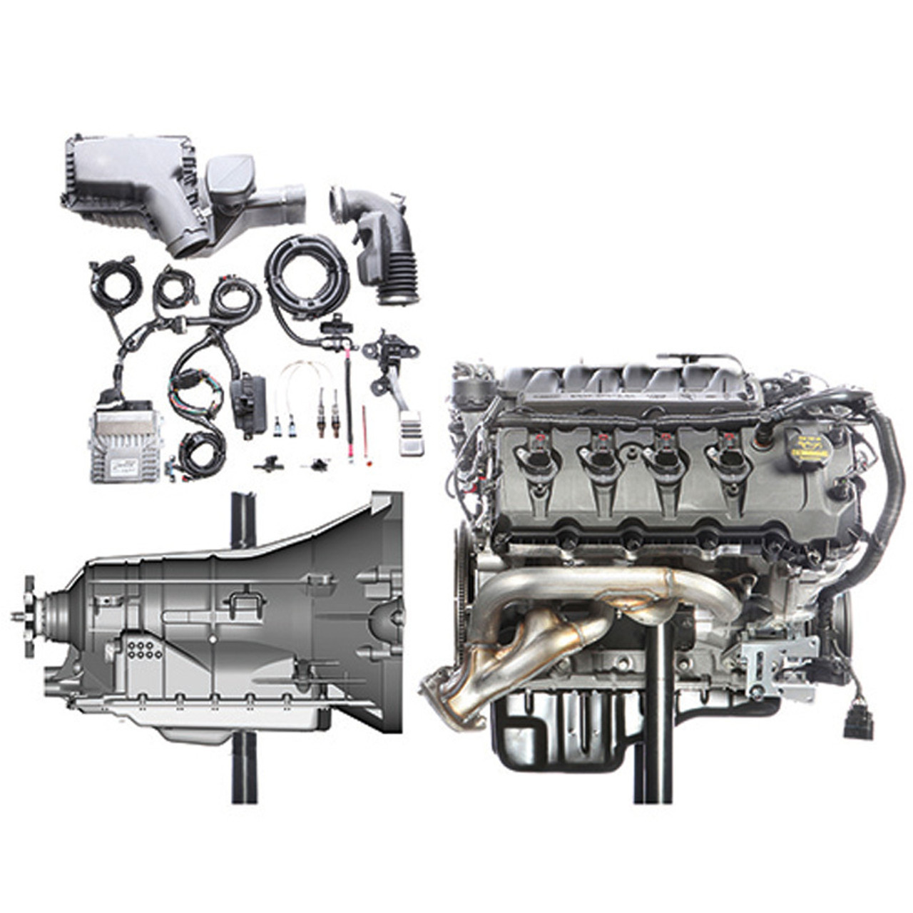 Ford Engine Control Pack - Gen-3 Coyote 2018-2020 - FRDM6017-M50BA
