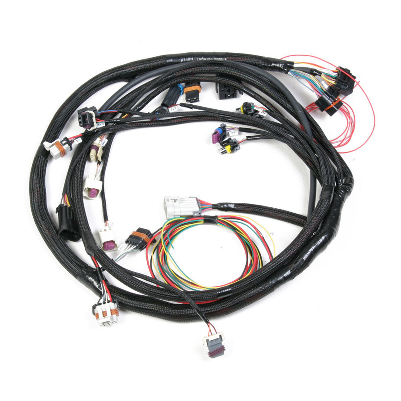 Holley Main Harness - Universal MPFI