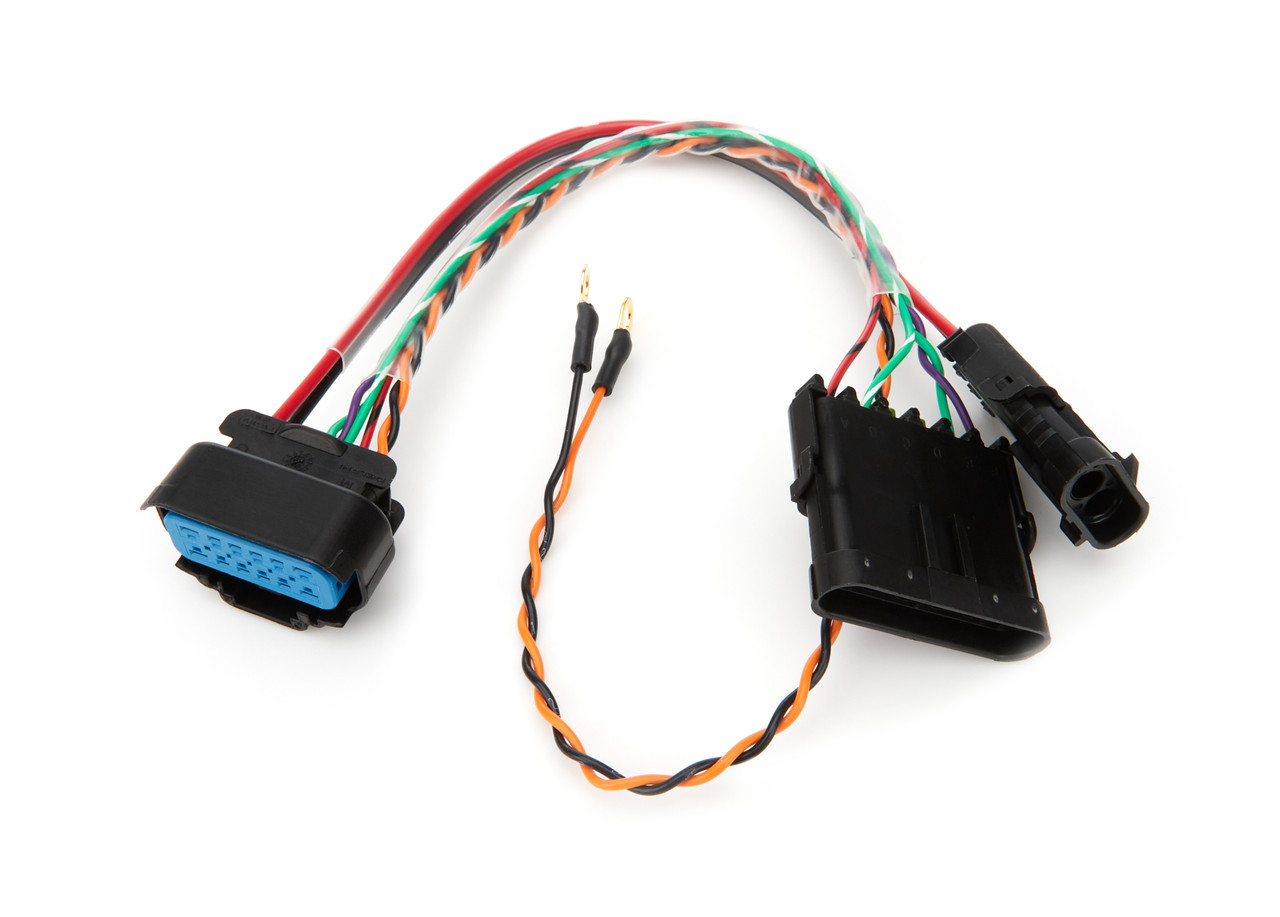 QuickCar Racing Products Harness Adapter MSD to 6 Pin Spec Harness