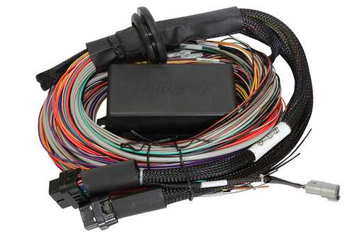 Haltech Elite 2500 Premium Univ. Wire Harness