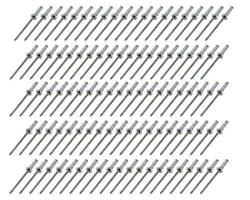 Fivestar Small Head Rivet Silver 100pc 1/8in