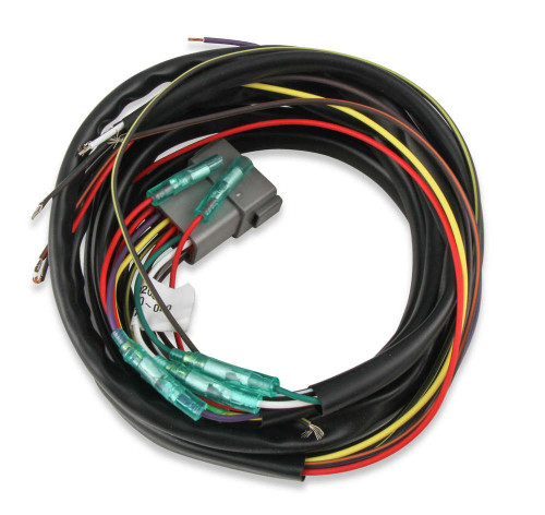 MSD Ignition Wire Harness for 62125 & 62153