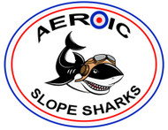 Aeroic Slope Composites NZ