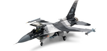 Tamiya 61106 1/48 F-16C/N Aggressor/Adversary